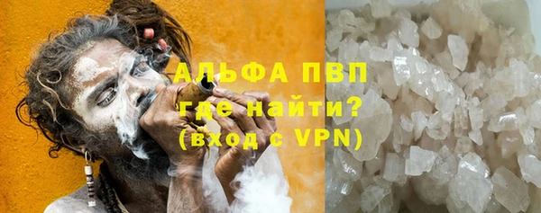 спиды Нефтекумск