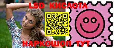 PSILOCYBIN Берёзовский