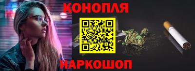 СК Бийск