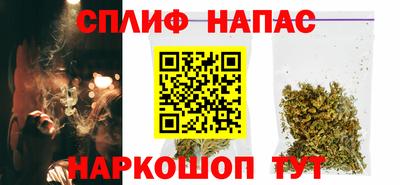 СК Бийск