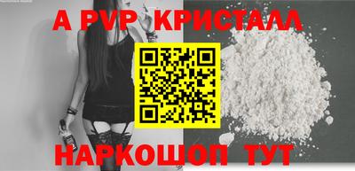 СК Бийск