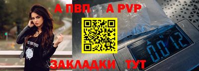 СК Бийск