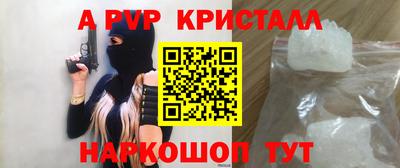 СК Бийск