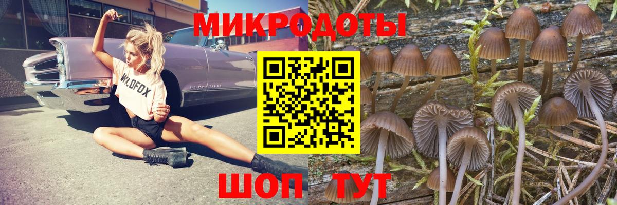 цена наркотик  Вход с VPN  Переславль-Залесский  Галлюциногенные грибы ЛСД 