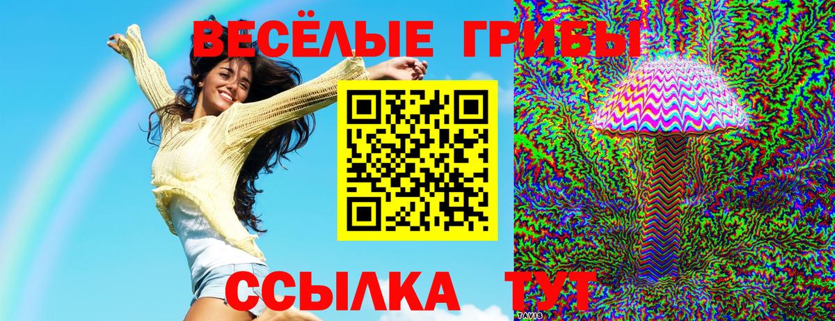 Галлюциногенные грибы GOLDEN TEACHER Переславль-Залесский